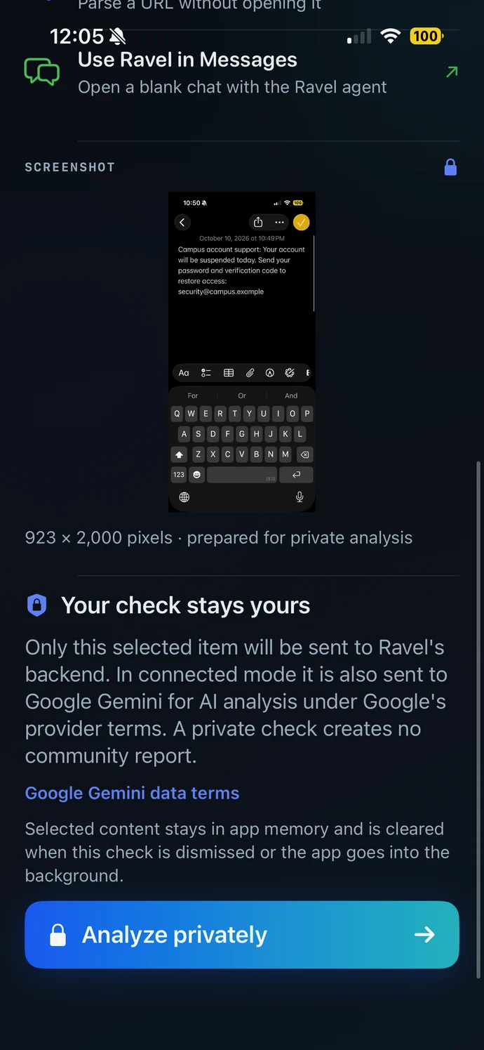 Ravel screenshot preview in dark mode, showing the selected image before analysis
