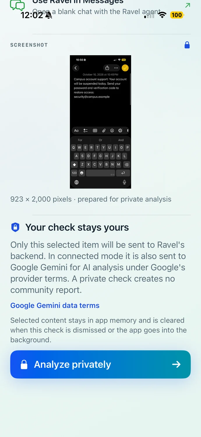 Ravel screenshot preview in light mode, showing the selected image before analysis